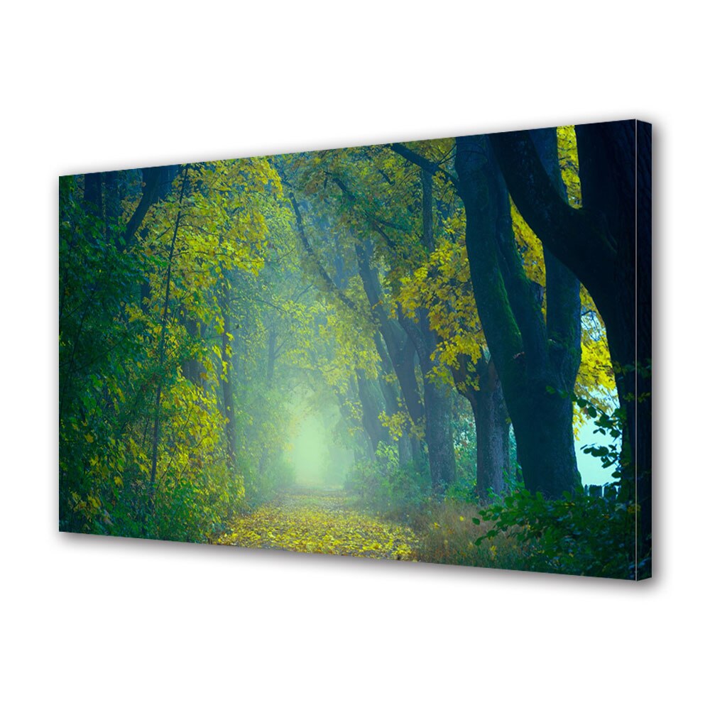 Tablou Canvas Premium ArtDeco, Toamna la umbra copacilor din padure, Panza pe cadru de lemn, Decoratiuni Moderne pentru Casa, 30 x 45 cm