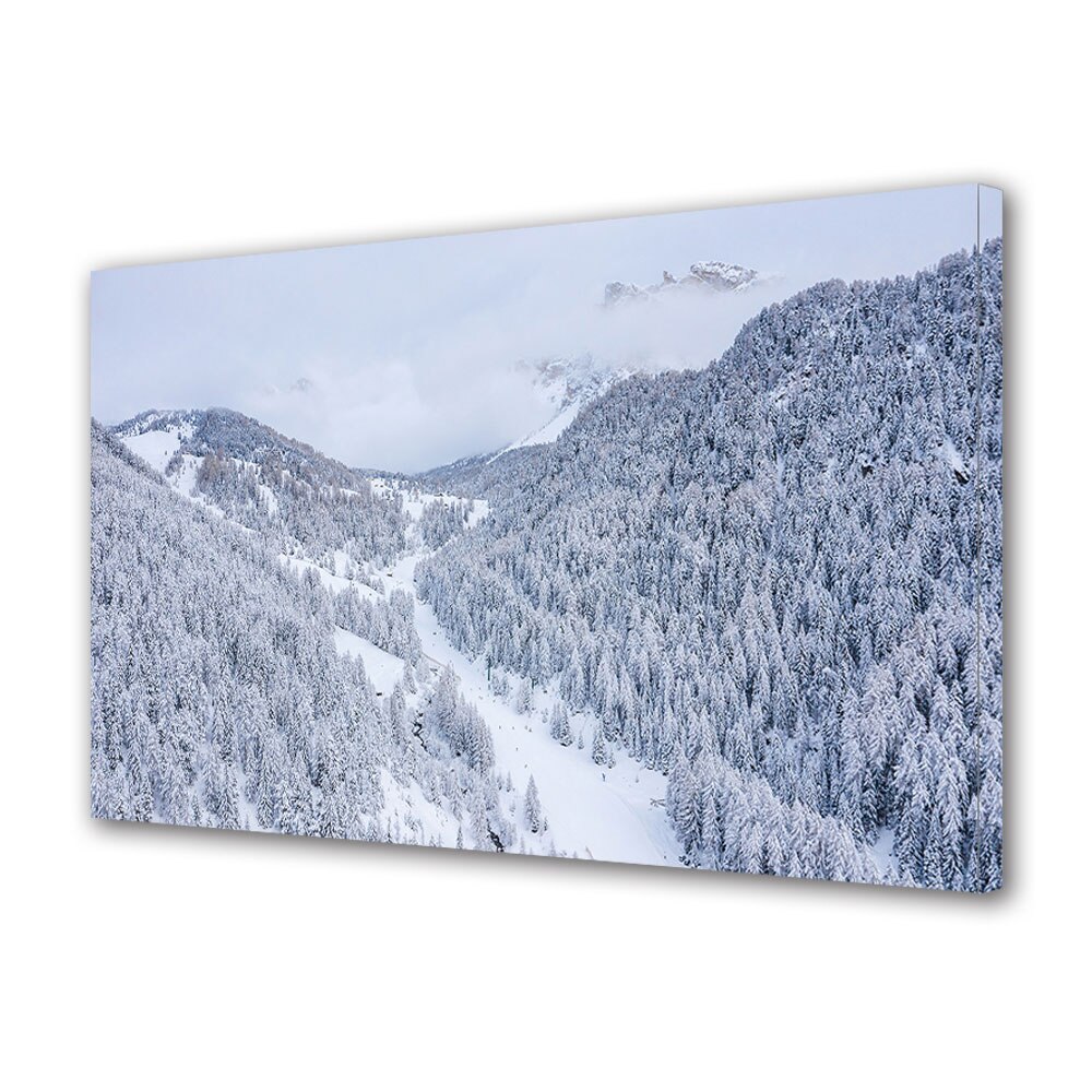 Tablou Canvas Premium ArtDeco, Brazi acoperiti, Panza pe cadru de lemn, Decoratiuni Moderne pentru Casa, 80 x 120 cm