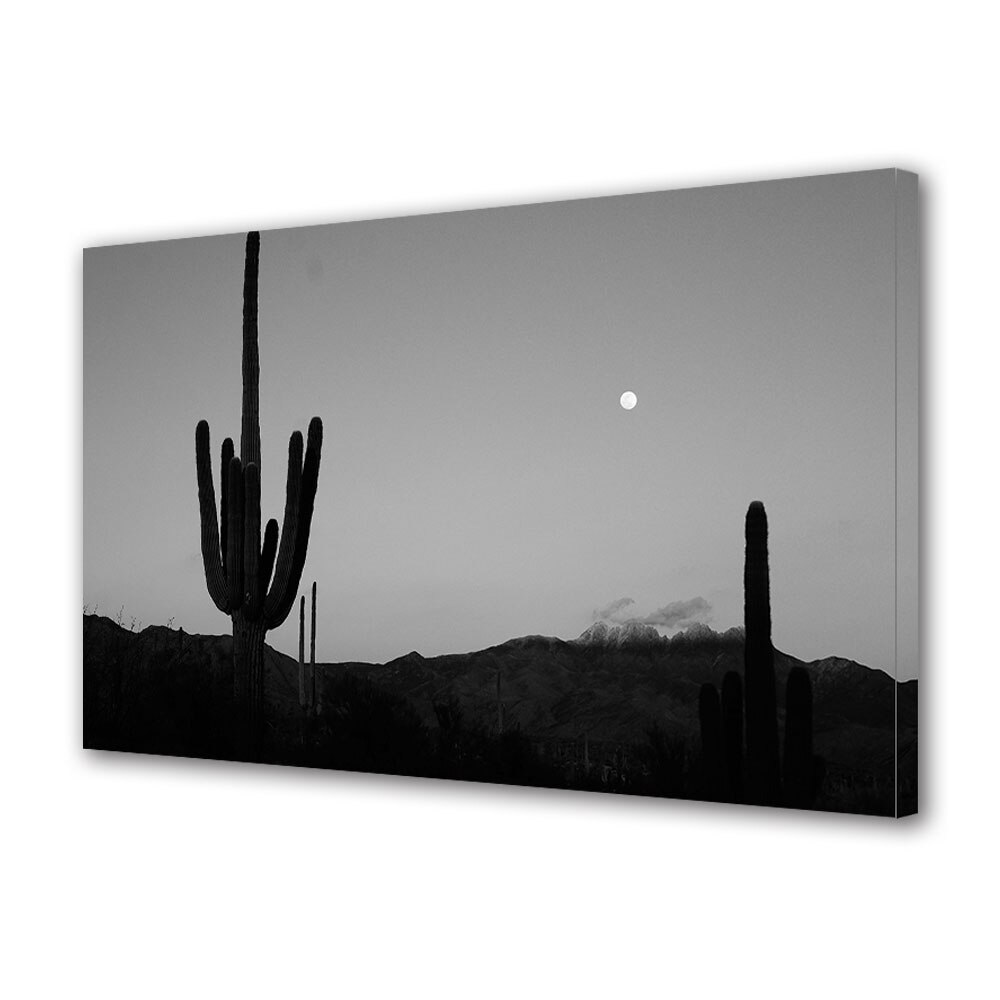 Tablou Canvas Premium ArtDeco, Siluete de cactusi la lumina lunii, Panza pe cadru de lemn, Decoratiuni Moderne pentru Casa, 80 x 120 cm