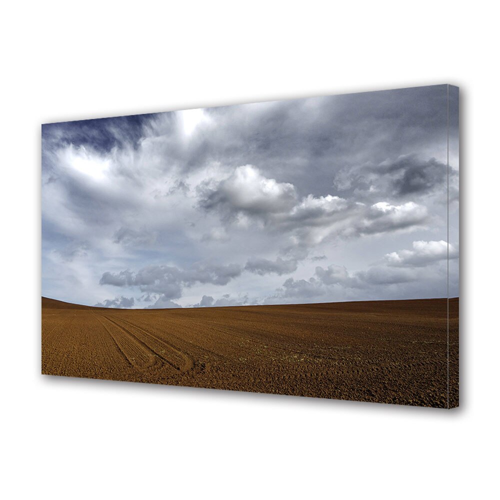 Tablou Canvas Premium ArtDeco, Camp sub norii cenusii, Panza pe cadru de lemn, Decoratiuni Moderne pentru Casa, 30 x 45 cm