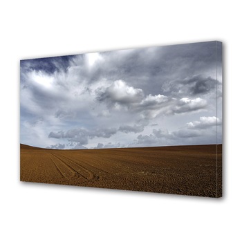 Tablou Canvas Premium ArtDeco, Camp sub norii cenusii, Panza pe cadru de lemn, Decoratiuni Moderne pentru Casa, 40 x 60 cm Tablou Canvas Premium ArtDeco, Camp sub norii cenusii, Panza pe cadru de lemn, Decoratiuni Moderne pentru Casa, 40 x 60 cm