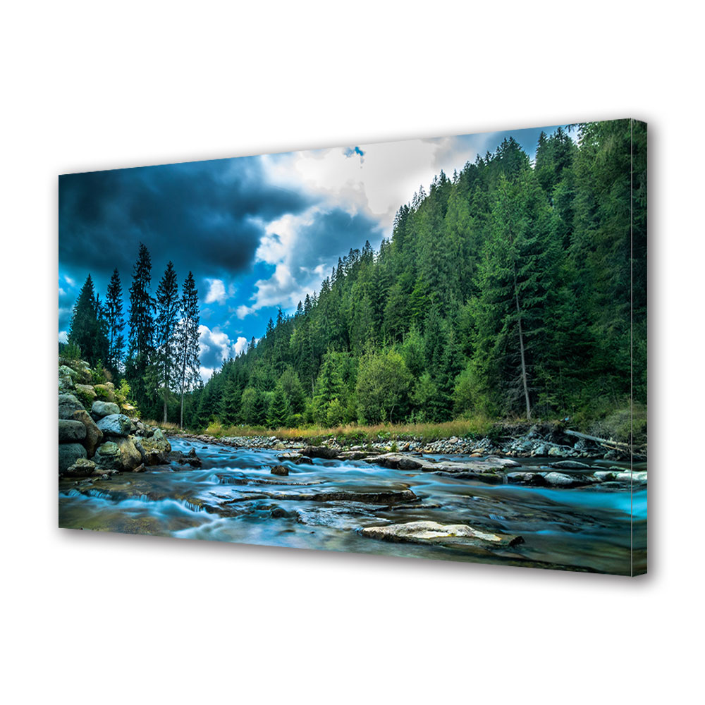 Tablou Canvas Premium ArtDeco, Parau alert, Panza pe cadru de lemn, Decoratiuni Moderne pentru Casa, 80 x 120 cm