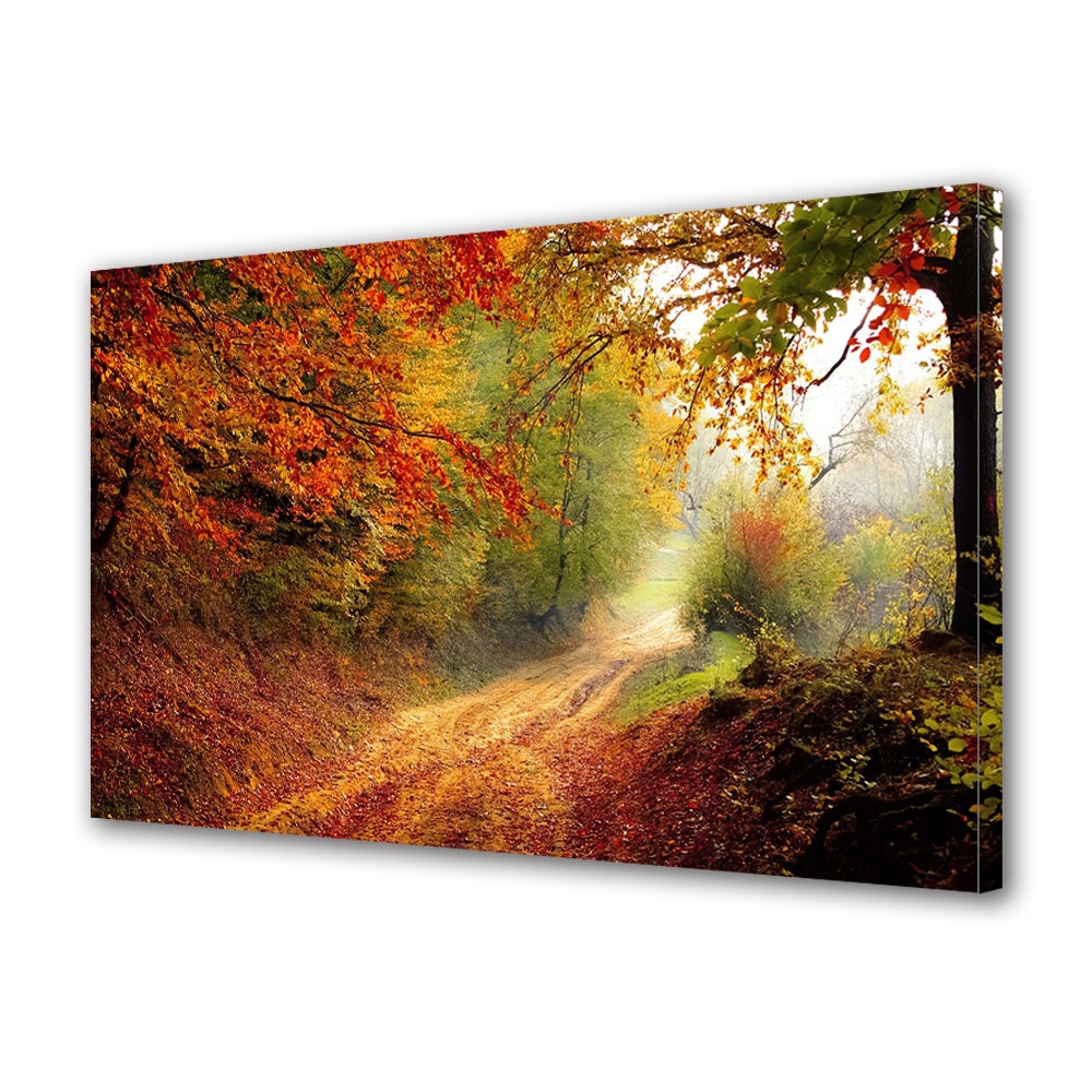 Tablou Canvas Premium ArtDeco, Drum forestier toamna, Panza pe cadru de lemn, Decoratiuni Moderne pentru Casa, 50 x 70 cm