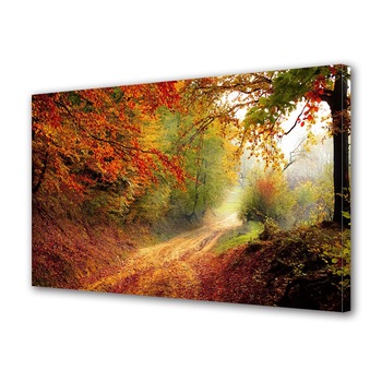 Tablou Canvas Premium ArtDeco, Drum forestier toamna, Panza pe cadru de lemn, Decoratiuni Moderne pentru Casa, 20 x 30 cm Tablou Canvas Premium ArtDeco, Drum forestier toamna, Panza pe cadru de lemn, Decoratiuni Moderne pentru Casa, 20 x 30 cm