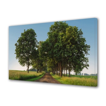 Tablou Canvas Premium ArtDeco, Insiruire de copaci in toiul zilei, Panza pe cadru de lemn, Decoratiuni Moderne pentru Casa, 30 x 45 cm Tablou Canvas Premium ArtDeco, Insiruire de copaci in toiul zilei, Panza pe cadru de lemn, Decoratiuni Moderne pentru Casa, 30 x 45 cm