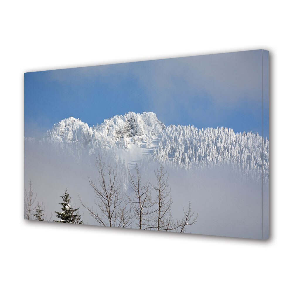 Tablou Canvas Premium ArtDeco, Ceata persistenta, Panza pe cadru de lemn, Decoratiuni Moderne pentru Casa, 80 x 120 cm