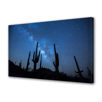 Tablou Canvas Premium ArtDeco, Siluete de cactusi, Panza pe cadru de lemn, Decoratiuni Moderne pentru Casa, 20 x 30 cm Tablou Canvas Premium ArtDeco, Siluete de cactusi, Panza pe cadru de lemn, Decoratiuni Moderne pentru Casa, 20 x 30 cm