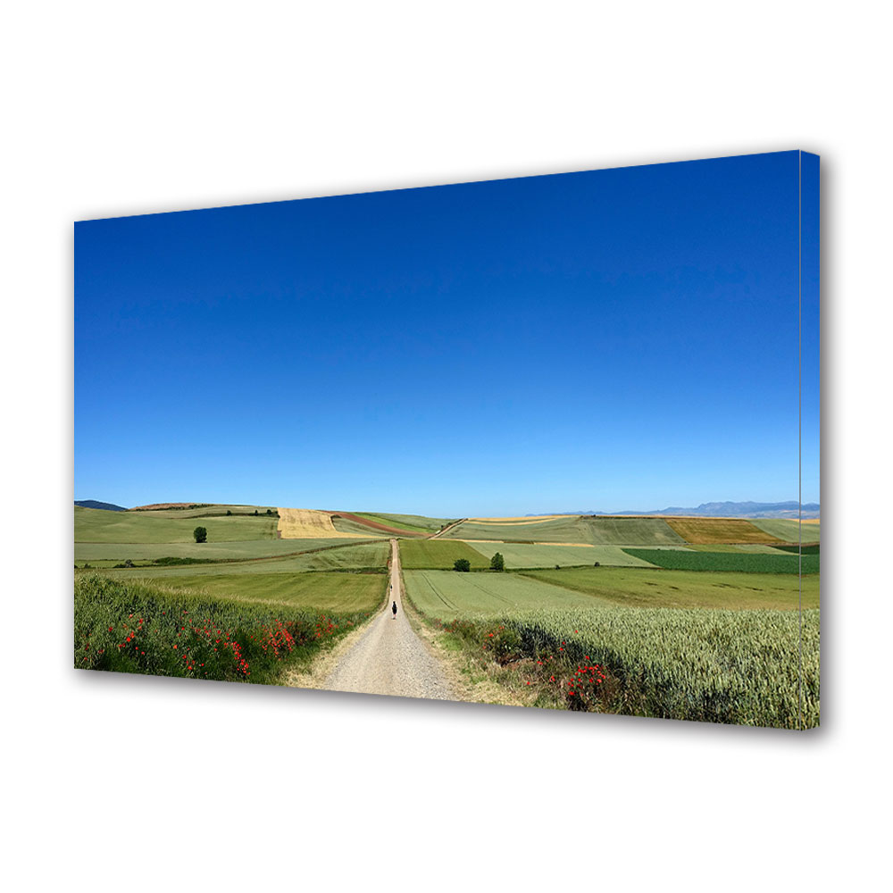 Tablou Canvas Premium ArtDeco, Drum pe pajistea inverzita, Panza pe cadru de lemn, Decoratiuni Moderne pentru Casa, 80 x 120 cm