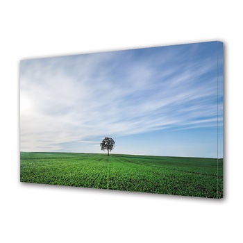 Tablou Canvas Premium ArtDeco, Copac singuratic, Panza pe cadru de lemn, Decoratiuni Moderne pentru Casa, 80 x 120 cm Tablou Canvas Premium ArtDeco, Copac singuratic, Panza pe cadru de lemn, Decoratiuni Moderne pentru Casa, 80 x 120 cm