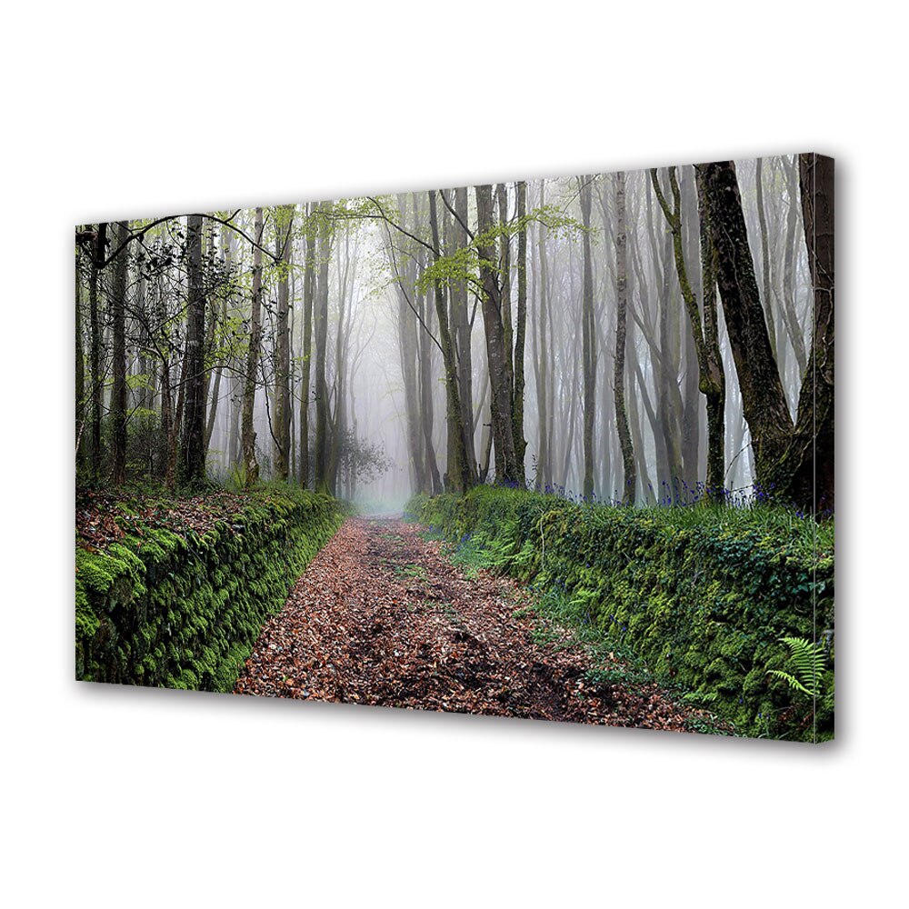 Tablou Canvas Premium ArtDeco, Alee tomnatica, Panza pe cadru de lemn, Decoratiuni Moderne pentru Casa, 80 x 120 cm