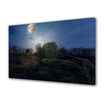 Tablou Canvas Premium ArtDeco, Luna plina ca-n povesti, Panza pe cadru de lemn, Decoratiuni Moderne pentru Casa, 30 x 45 cm Tablou Canvas Premium ArtDeco, Luna plina ca-n povesti, Panza pe cadru de lemn, Decoratiuni Moderne pentru Casa, 30 x 45 cm