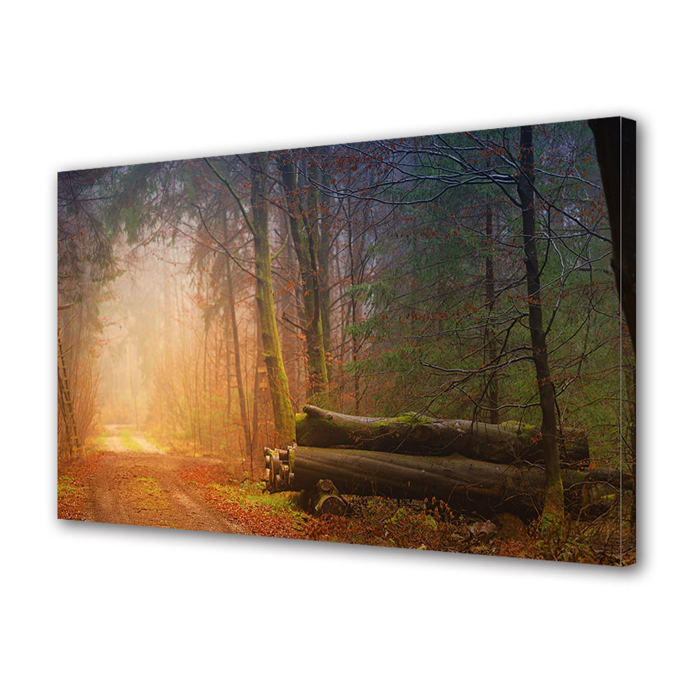 Tablou Canvas Premium ArtDeco, Busteni pe drumul iluminat, Panza pe cadru de lemn, Decoratiuni Moderne pentru Casa, 80 x 120 cm