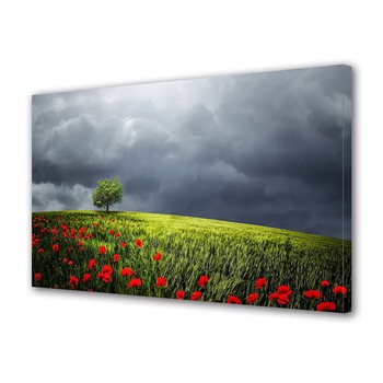 Tablou Canvas Premium ArtDeco, Maci pe deal inainte de furtuna, Panza pe cadru de lemn, Decoratiuni Moderne pentru Casa, 40 x 60 cm Tablou Canvas Premium ArtDeco, Maci pe deal inainte de furtuna, Panza pe cadru de lemn, Decoratiuni Moderne pentru Casa, 40 x 60 cm