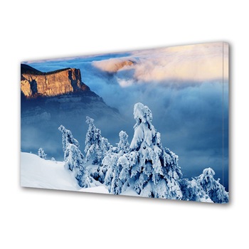 Tablou Canvas Premium ArtDeco, Brazi acoperiti la altitudine, Panza pe cadru de lemn, Decoratiuni Moderne pentru Casa, 20 x 30 cm Tablou Canvas Premium ArtDeco, Brazi acoperiti la altitudine, Panza pe cadru de lemn, Decoratiuni Moderne pentru Casa, 20 x 30 cm
