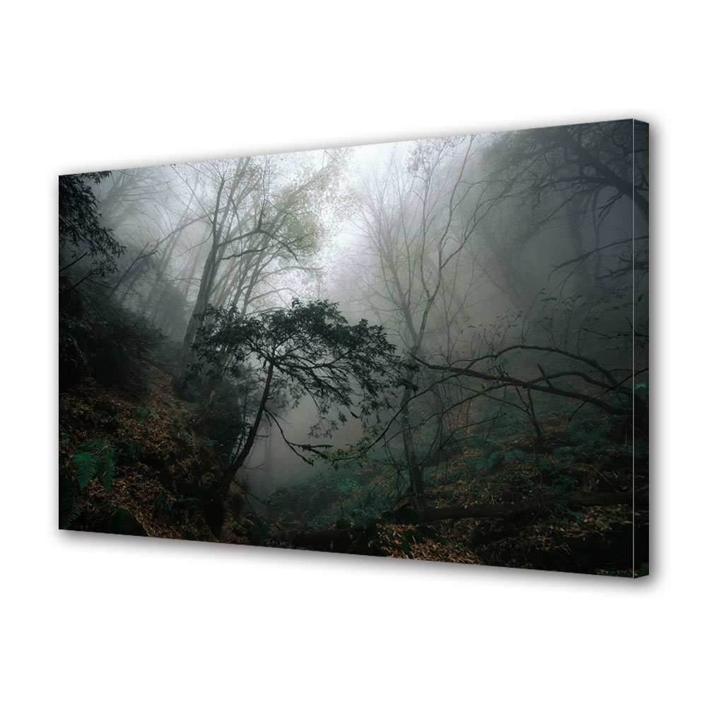 Tablou Canvas Premium ArtDeco, Padure sumbra, Panza pe cadru de lemn, Decoratiuni Moderne pentru Casa, 50 x 70 cm