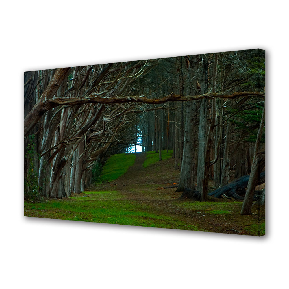 Tablou Canvas Premium ArtDeco, Umbra padurii, Panza pe cadru de lemn, Decoratiuni Moderne pentru Casa, 20 x 30 cm