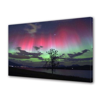 Tablou Canvas Premium ArtDeco, Copac sub luminile multicolore, Panza pe cadru de lemn, Decoratiuni Moderne pentru Casa, 50 x 70 cm