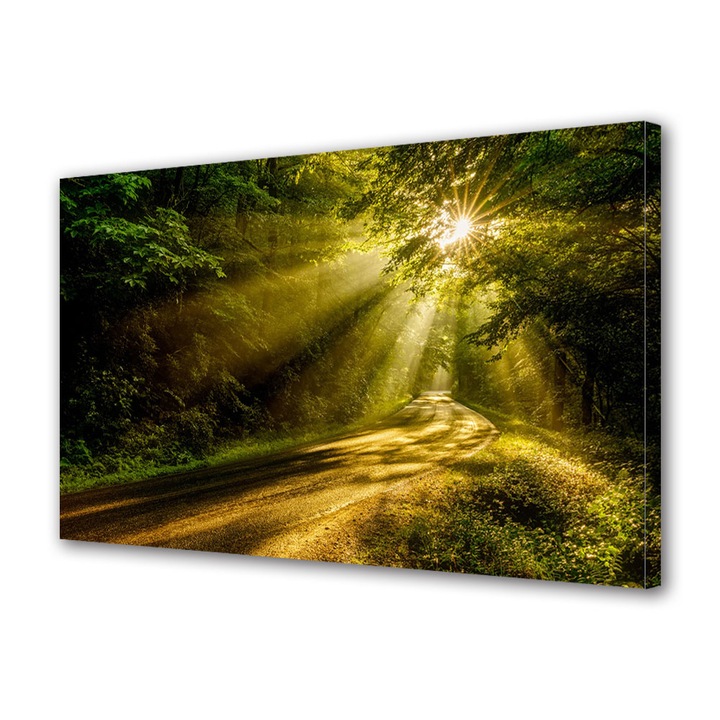 Tablou Canvas Led cu Intrerupator, Luminos in Intuneric, Premium, Art Star, Peste drum si prin padure, Panza pe cadru de lemn, Decoratiuni Moderne pentru Casa, 50 x 70 cm