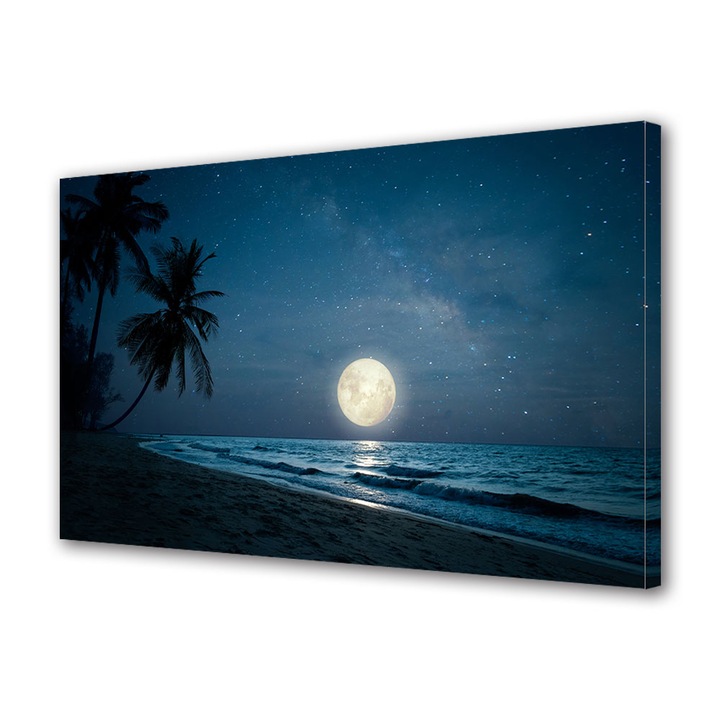 Tablou Canvas Fosforescent, Luminos in Intuneric, Premium, Art Star, O noapte exotica, Peisaje, Panza pe cadru de lemn, Decoratiuni Moderne pentru Casa, 40 x 60 cm