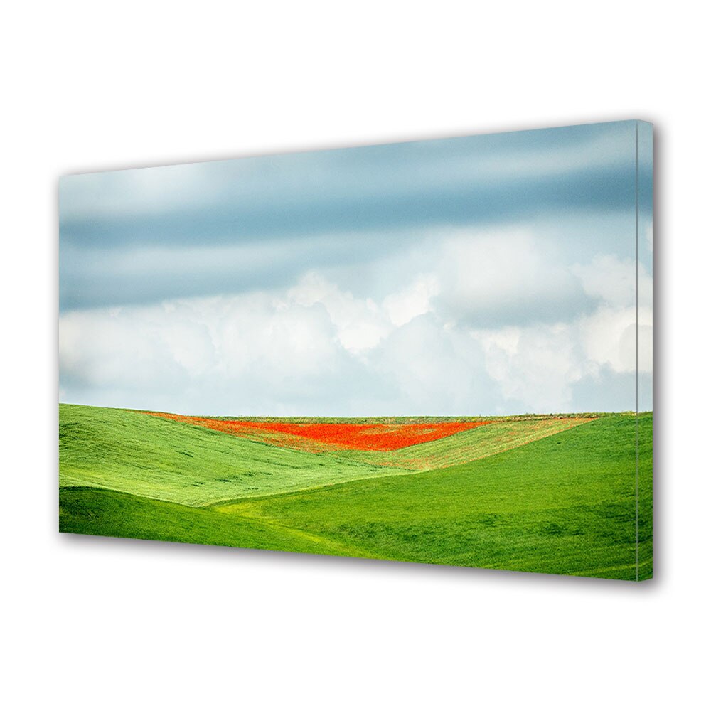 Tablou Canvas Premium ArtDeco, Flori rosii pe campia verde, Panza pe cadru de lemn, Decoratiuni Moderne pentru Casa, 70 x 100 cm