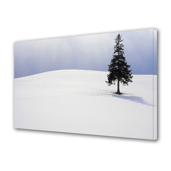 Tablou Canvas Premium ArtDeco, Brad singuratic, Panza pe cadru de lemn, Decoratiuni Moderne pentru Casa, 70 x 100 cm Tablou Canvas Premium ArtDeco, Brad singuratic, Panza pe cadru de lemn, Decoratiuni Moderne pentru Casa, 70 x 100 cm