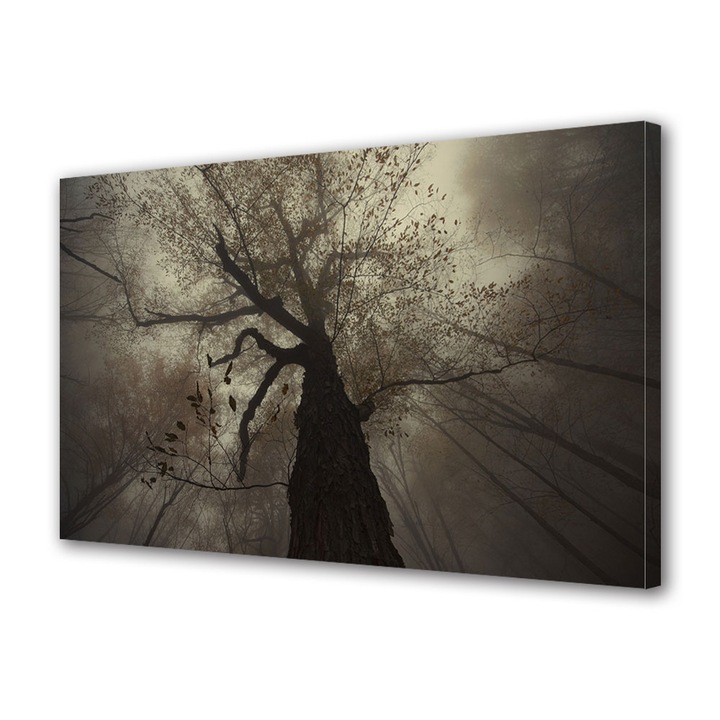 Tablou Canvas Fosforescent, Luminos in Intuneric, Premium, Art Star, Copac batran, Peisaje, Panza pe cadru de lemn, Decoratiuni Moderne pentru Casa, 50 x 70 cm