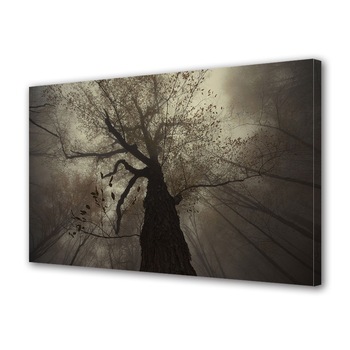 Tablou Canvas Premium ArtDeco, Copac batran, Panza pe cadru de lemn, Decoratiuni Moderne pentru Casa, 70 x 100 cm Tablou Canvas Premium ArtDeco, Copac batran, Panza pe cadru de lemn, Decoratiuni Moderne pentru Casa, 70 x 100 cm