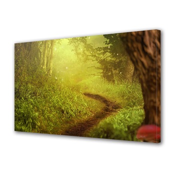 Tablou Canvas Premium ArtDeco, Drum ingust in padure, Panza pe cadru de lemn, Decoratiuni Moderne pentru Casa, 40 x 60 cm Tablou Canvas Premium ArtDeco, Drum ingust in padure, Panza pe cadru de lemn, Decoratiuni Moderne pentru Casa, 40 x 60 cm