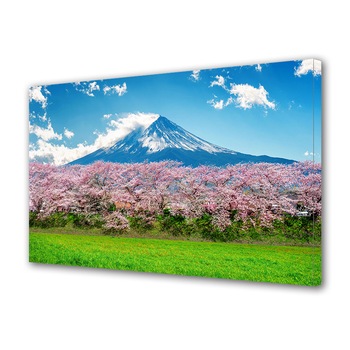 Tablou Canvas Premium ArtDeco, Copaci infloriti la baza muntelui, Panza pe cadru de lemn, Decoratiuni Moderne pentru Casa, 20 x 30 cm Tablou Canvas Premium ArtDeco, Copaci infloriti la baza muntelui, Panza pe cadru de lemn, Decoratiuni Moderne pentru Casa, 20 x 30 cm
