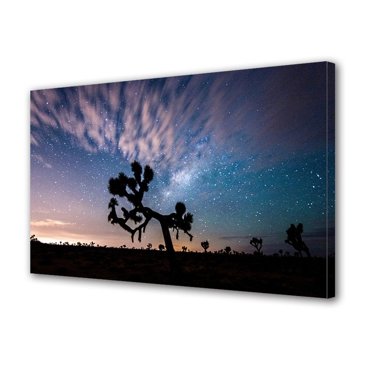 Tablou Canvas Led cu Intrerupator, Luminos in Intuneric, Premium, Art Star, Umbre sub cerul instelat, Panza pe cadru de lemn, Decoratiuni Moderne pentru Casa, 30 x 45 cm