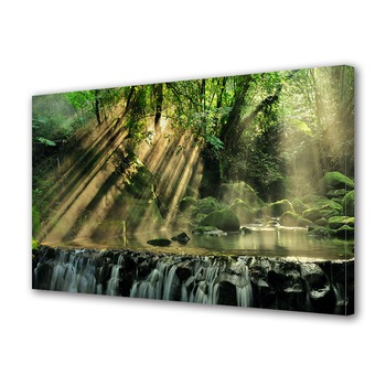 Tablou Canvas Premium ArtDeco, Raze printre ramuri, Panza pe cadru de lemn, Decoratiuni Moderne pentru Casa, 70 x 100 cm Tablou Canvas Premium ArtDeco, Raze printre ramuri, Panza pe cadru de lemn, Decoratiuni Moderne pentru Casa, 70 x 100 cm