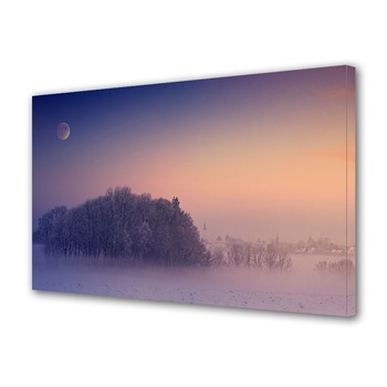 Tablou Canvas Premium ArtDeco, Seara violet, Panza pe cadru de lemn, Decoratiuni Moderne pentru Casa, 20 x 30 cm Tablou Canvas Premium ArtDeco, Seara violet, Panza pe cadru de lemn, Decoratiuni Moderne pentru Casa, 20 x 30 cm
