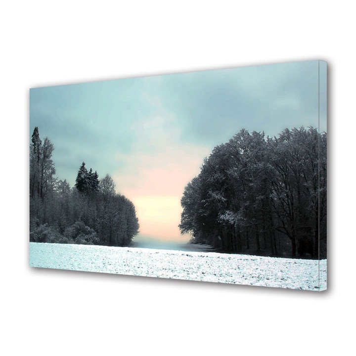 Tablou Canvas Premium ArtDeco, Orizont blurat, Panza pe cadru de lemn, Decoratiuni Moderne pentru Casa, 20 x 30 cm