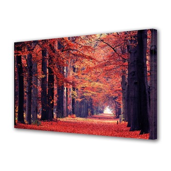 Tablou Canvas Premium ArtDeco, Covor de frunze rosii, Panza pe cadru de lemn, Decoratiuni Moderne pentru Casa, 80 x 120 cm Tablou Canvas Premium ArtDeco, Covor de frunze rosii, Panza pe cadru de lemn, Decoratiuni Moderne pentru Casa, 80 x 120 cm