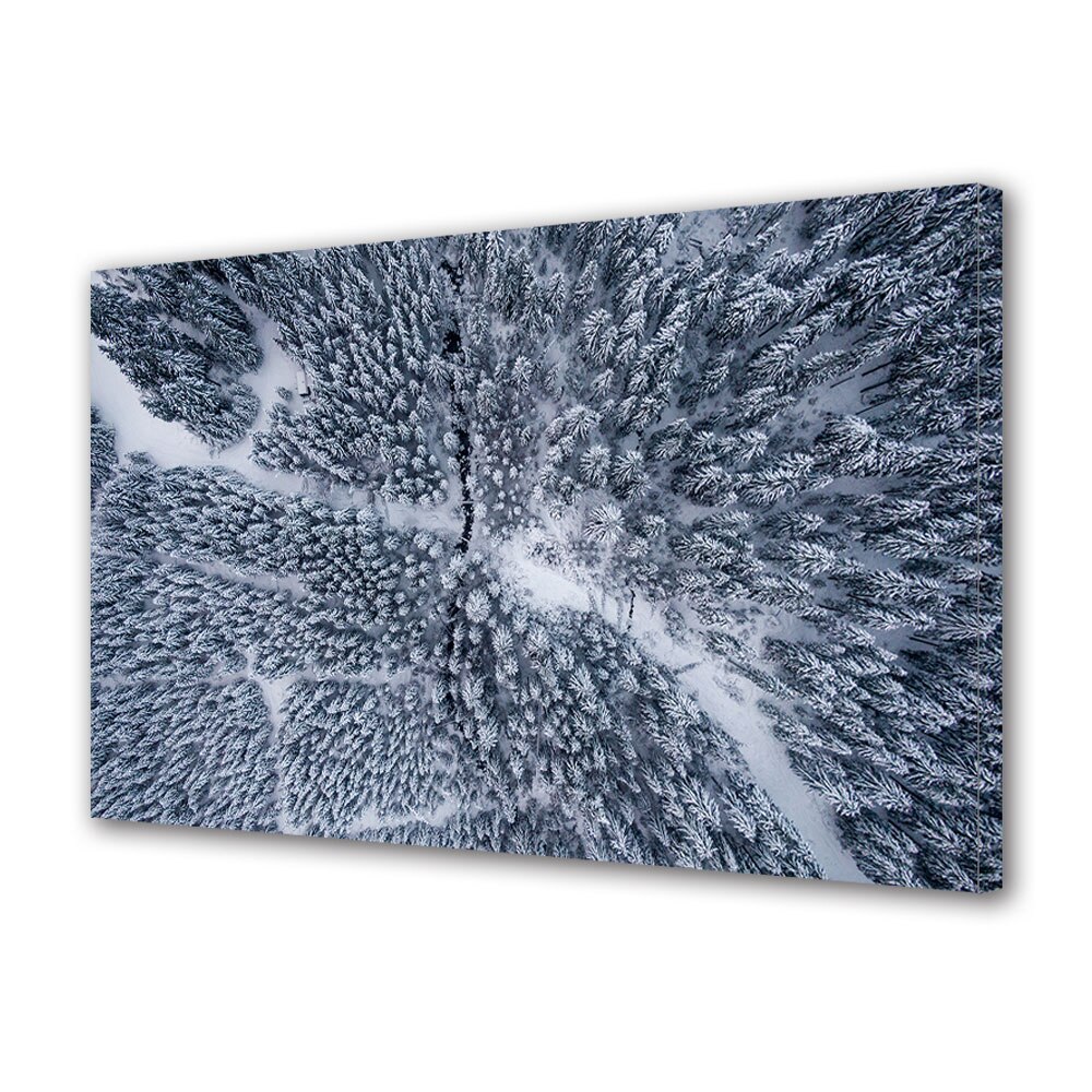 Tablou Canvas Premium ArtDeco, Padure de brazi imbracata in alb, Panza pe cadru de lemn, Decoratiuni Moderne pentru Casa, 20 x 30 cm