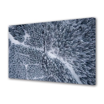 Tablou Canvas Premium ArtDeco, Padure de brazi imbracata in alb, Panza pe cadru de lemn, Decoratiuni Moderne pentru Casa, 80 x 160 cm Tablou Canvas Premium ArtDeco, Padure de brazi imbracata in alb, Panza pe cadru de lemn, Decoratiuni Moderne pentru Casa, 80 x 160 cm