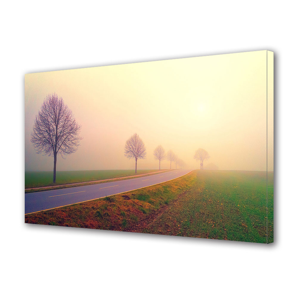 Tablou Canvas Premium ArtDeco, Drum blurat, Panza pe cadru de lemn, Decoratiuni Moderne pentru Casa, 30 x 45 cm