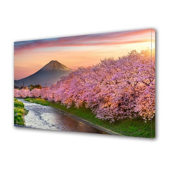 Tablou Canvas Premium ArtDeco, Natura roz, Panza pe cadru de lemn, Decoratiuni Moderne pentru Casa, 30 x 45 cm Tablou Canvas Premium ArtDeco, Natura roz, Panza pe cadru de lemn, Decoratiuni Moderne pentru Casa, 30 x 45 cm