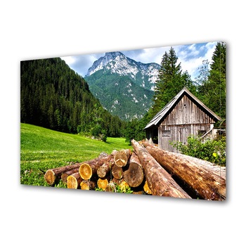 Tablou Canvas Premium ArtDeco, Busteni la munte, Panza pe cadru de lemn, Decoratiuni Moderne pentru Casa, 80 x 120 cm Tablou Canvas Premium ArtDeco, Busteni la munte, Panza pe cadru de lemn, Decoratiuni Moderne pentru Casa, 80 x 120 cm