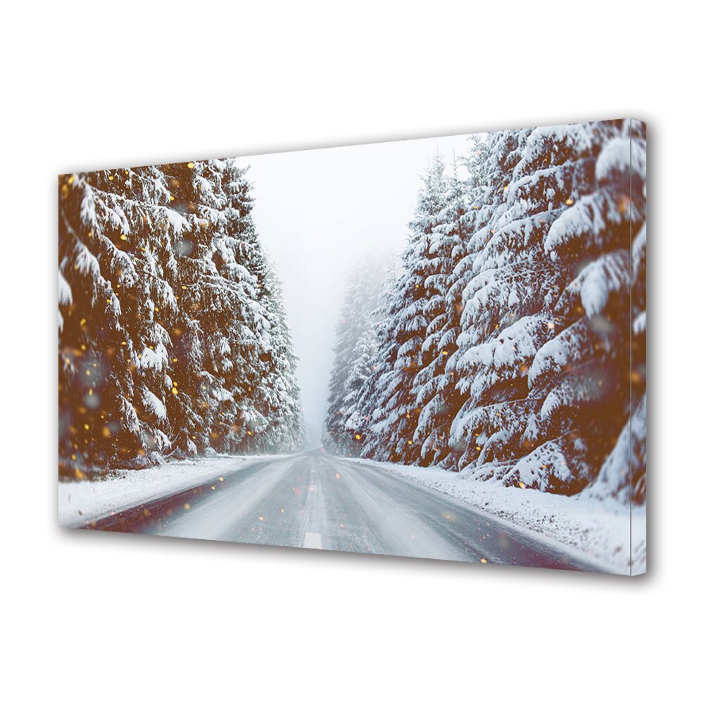 Tablou Canvas Premium ArtDeco, Farmecul zapezii, Panza pe cadru de lemn, Decoratiuni Moderne pentru Casa, 80 x 120 cm