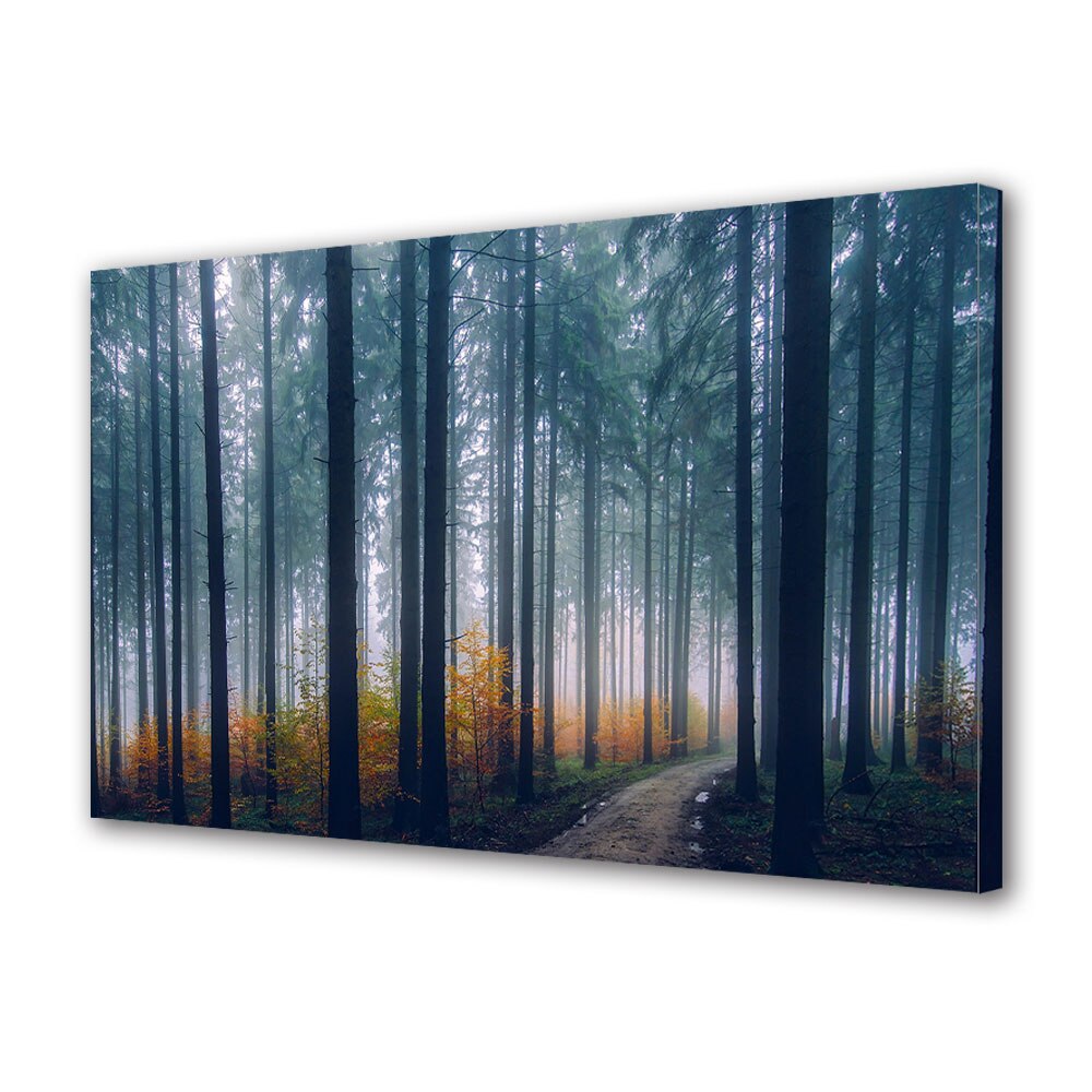 Tablou Canvas Premium ArtDeco, Padure de brazi toamna, Panza pe cadru de lemn, Decoratiuni Moderne pentru Casa, 70 x 100 cm