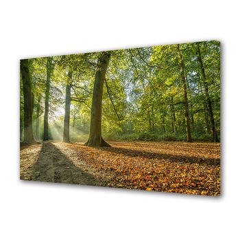 Tablou Canvas Premium ArtDeco, La umbra copacului, Panza pe cadru de lemn, Decoratiuni Moderne pentru Casa, 30 x 45 cm Tablou Canvas Premium ArtDeco, La umbra copacului, Panza pe cadru de lemn, Decoratiuni Moderne pentru Casa, 30 x 45 cm