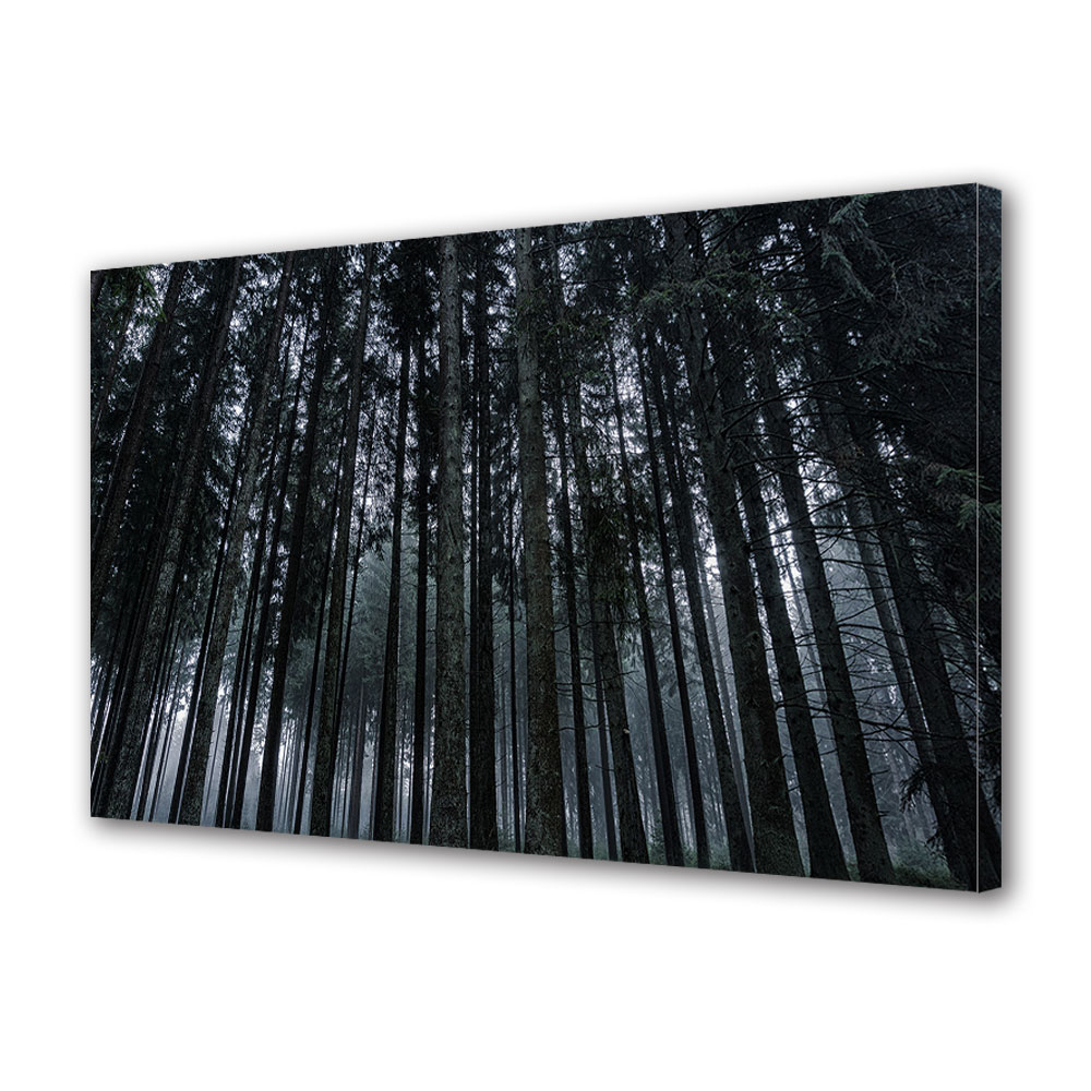 Tablou Canvas Premium ArtDeco, Padure intunecata de brazi, Panza pe cadru de lemn, Decoratiuni Moderne pentru Casa, 70 x 100 cm