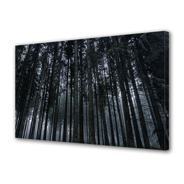 Tablou Canvas Premium ArtDeco, Padure intunecata de brazi, Panza pe cadru de lemn, Decoratiuni Moderne pentru Casa, 40 x 60 cm