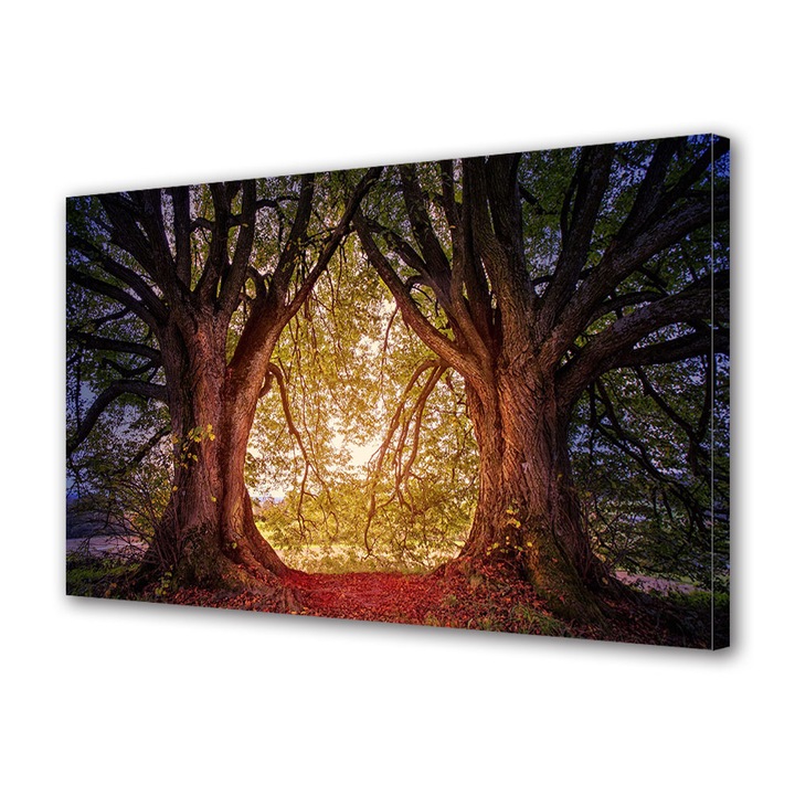 Tablou Canvas Led cu Intrerupator, Luminos in Intuneric, Premium, Art Star, Lumina zilei intre arbori, Panza pe cadru de lemn, Decoratiuni Moderne pentru Casa, 60 x 90 cm