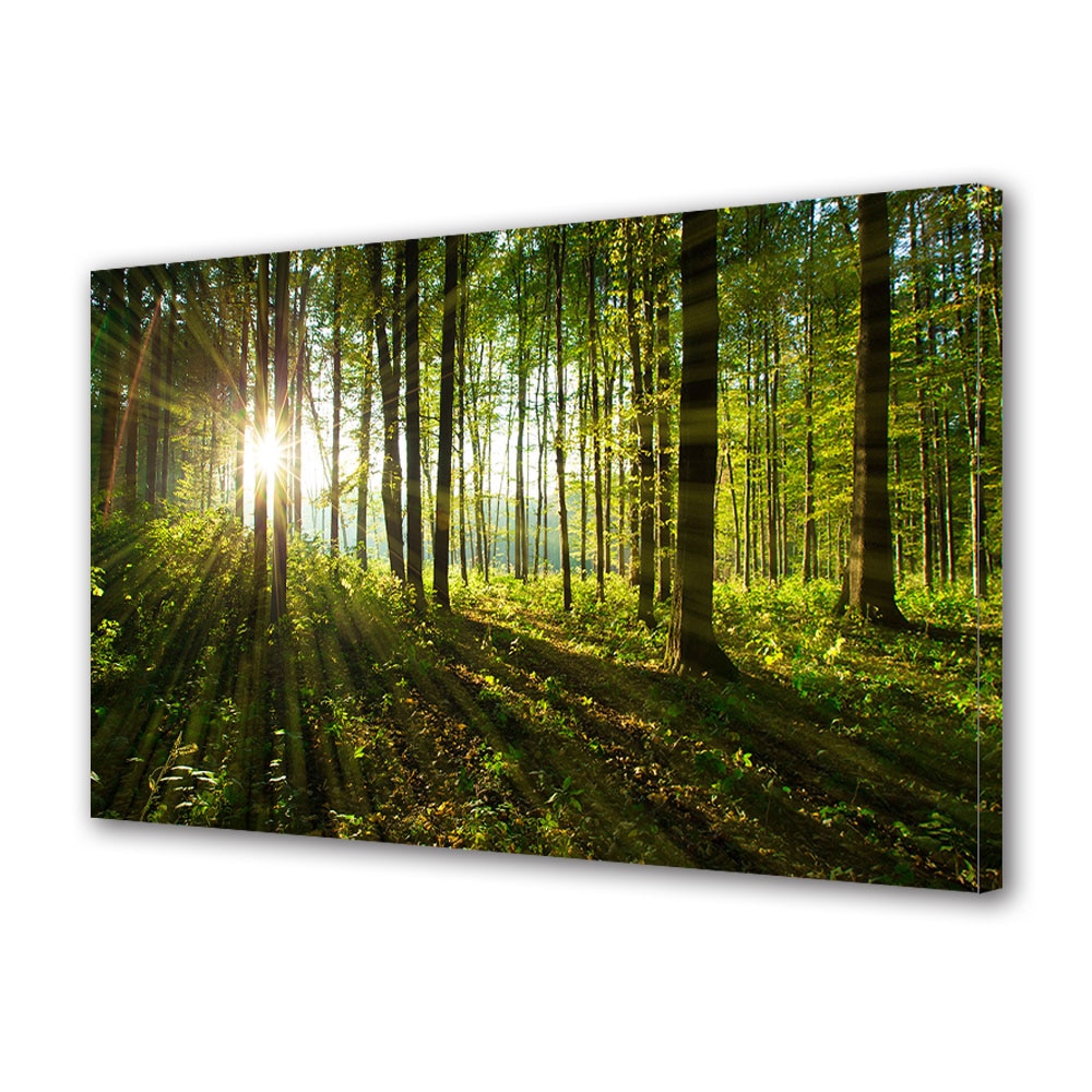 Tablou Canvas Premium ArtDeco, Raze de soare printre copaci, Panza pe cadru de lemn, Decoratiuni Moderne pentru Casa, 80 x 120 cm