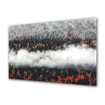 Tablou Canvas Premium ArtDeco, Ceata strabate padurea de brazi, Panza pe cadru de lemn, Decoratiuni Moderne pentru Casa, 70 x 100 cm Tablou Canvas Premium ArtDeco, Ceata strabate padurea de brazi, Panza pe cadru de lemn, Decoratiuni Moderne pentru Casa, 70 x 100 cm