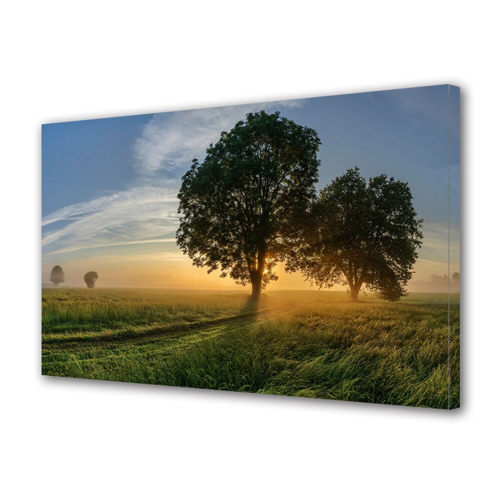 Tablou Canvas Premium ArtDeco, Copaci umbriti, Panza pe cadru de lemn, Decoratiuni Moderne pentru Casa, 30 x 45 cm