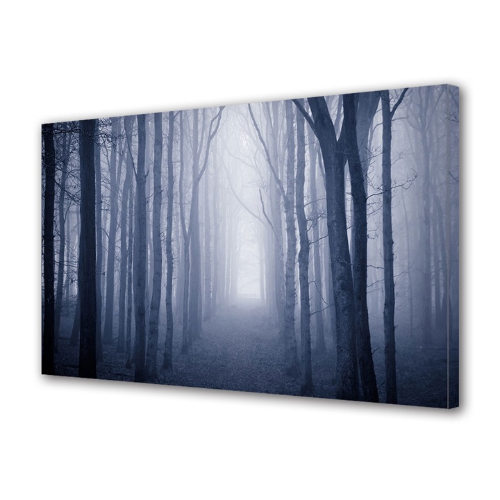 Tablou Canvas Fosforescent, Luminos in Intuneric, Premium, Art Star, Drum misterios, Peisaje, Panza pe cadru de lemn, Decoratiuni Moderne pentru Casa, 20 x 30 cm