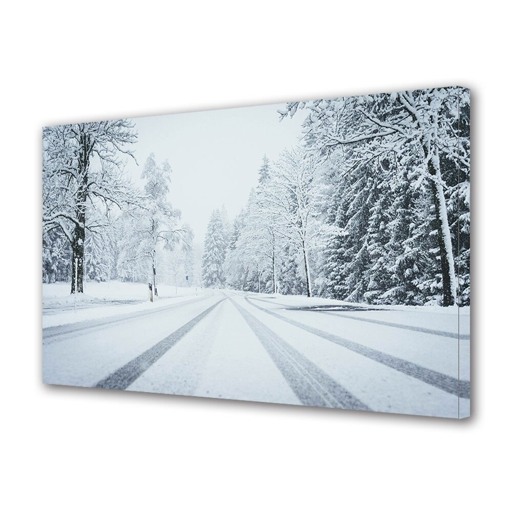 Tablou Canvas Premium ArtDeco, Ger pe drum, Panza pe cadru de lemn, Decoratiuni Moderne pentru Casa, 50 x 70 cm